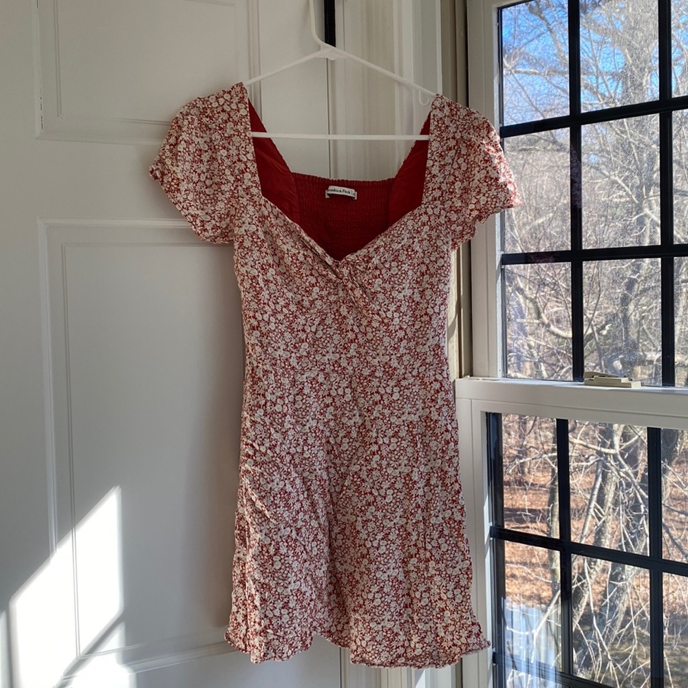 Abercrombie and Fitch Floral Dress (Small)